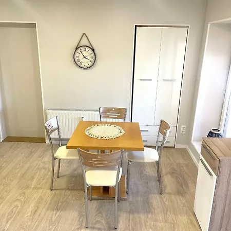 Kaunas Stay Apartment *