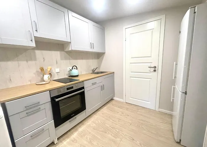 公寓 Kaunas Stay Apartment 考纳斯