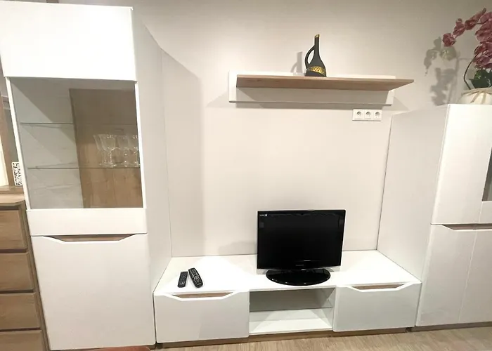 Kaunas Stay Apartment 公寓 考纳斯