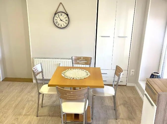 Kaunas Stay Apartment *